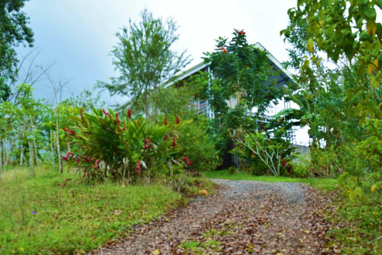 Hotel Rio Celeste Finca L' Etoile Celeste El Achiote Ngoại thất bức ảnh