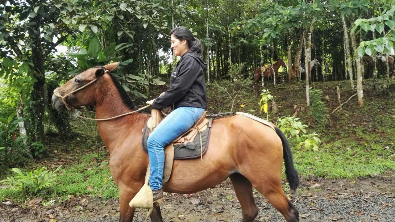Hotel Rio Celeste Finca L' Etoile Celeste El Achiote Ngoại thất bức ảnh