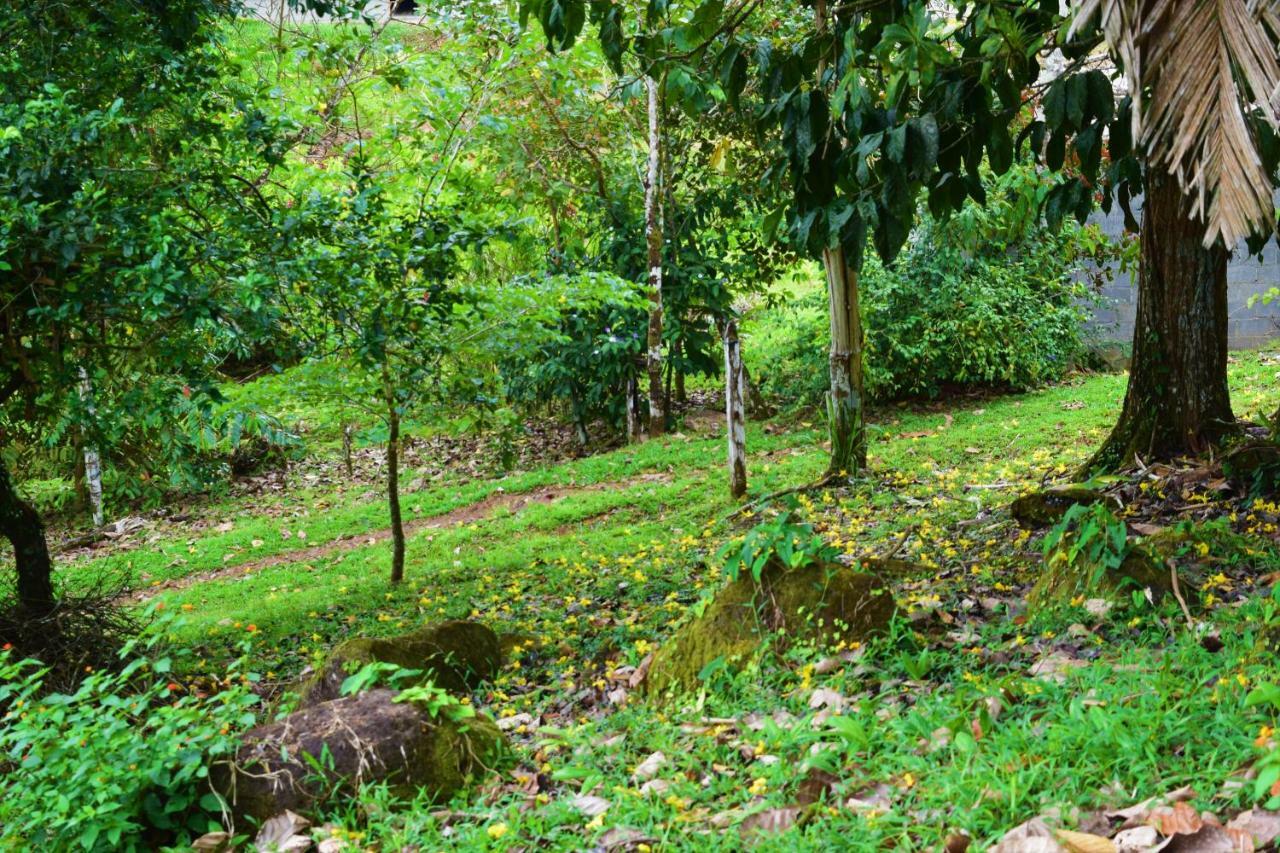 Hotel Rio Celeste Finca L' Etoile Celeste El Achiote Ngoại thất bức ảnh